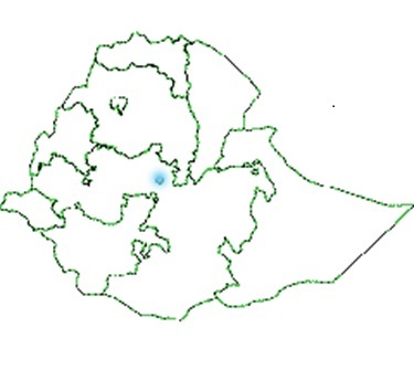 Addis Ababa