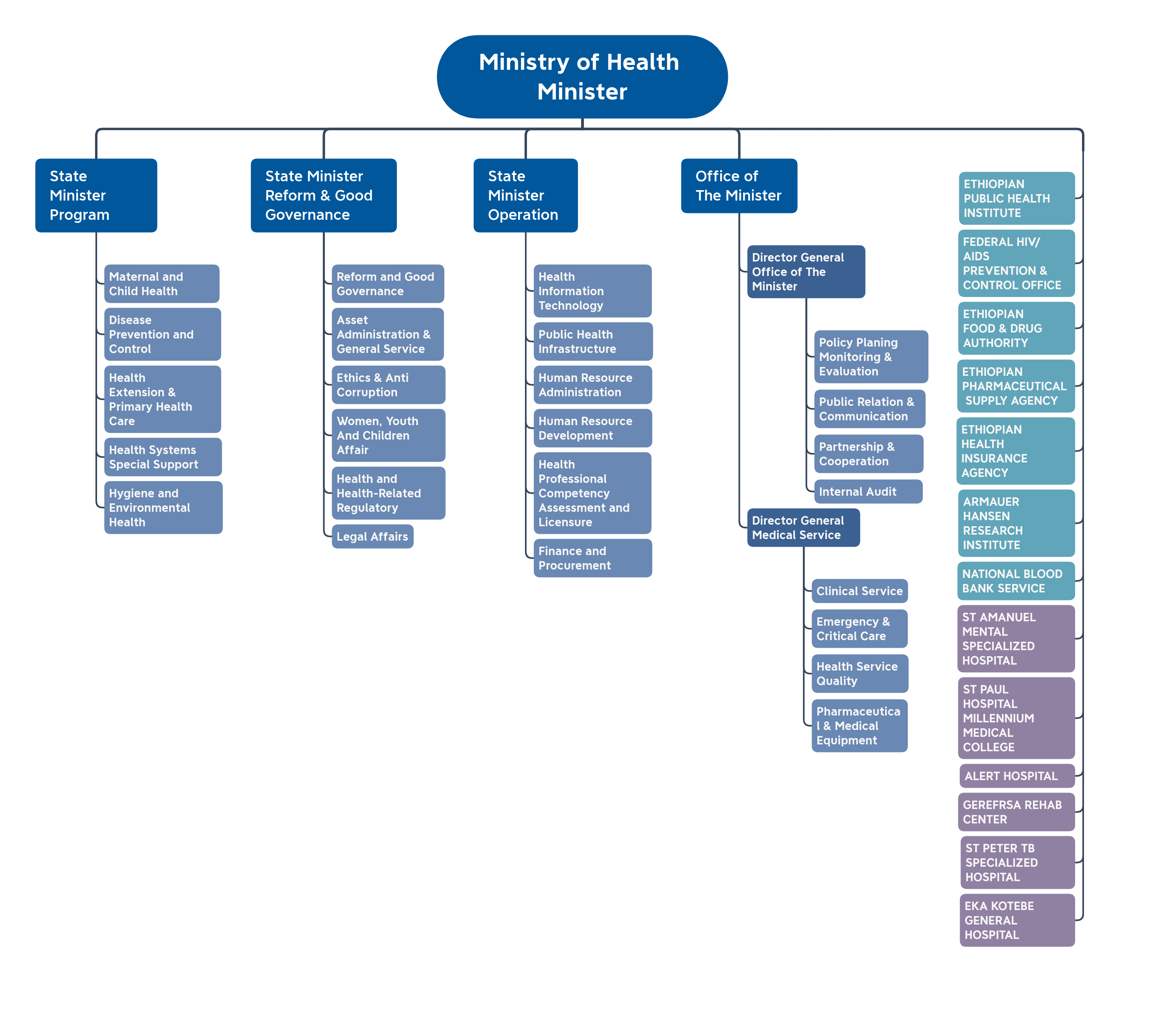 MOH Organizational Structure