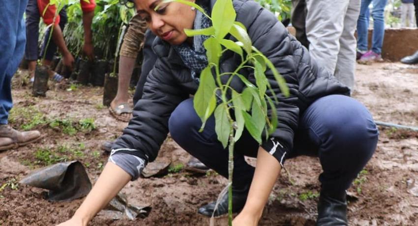 Dr. Lia Tadesse